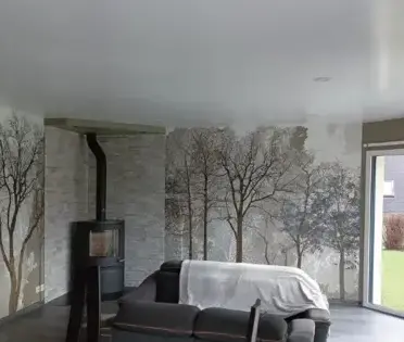 peintre d'extérieur Plévin-4